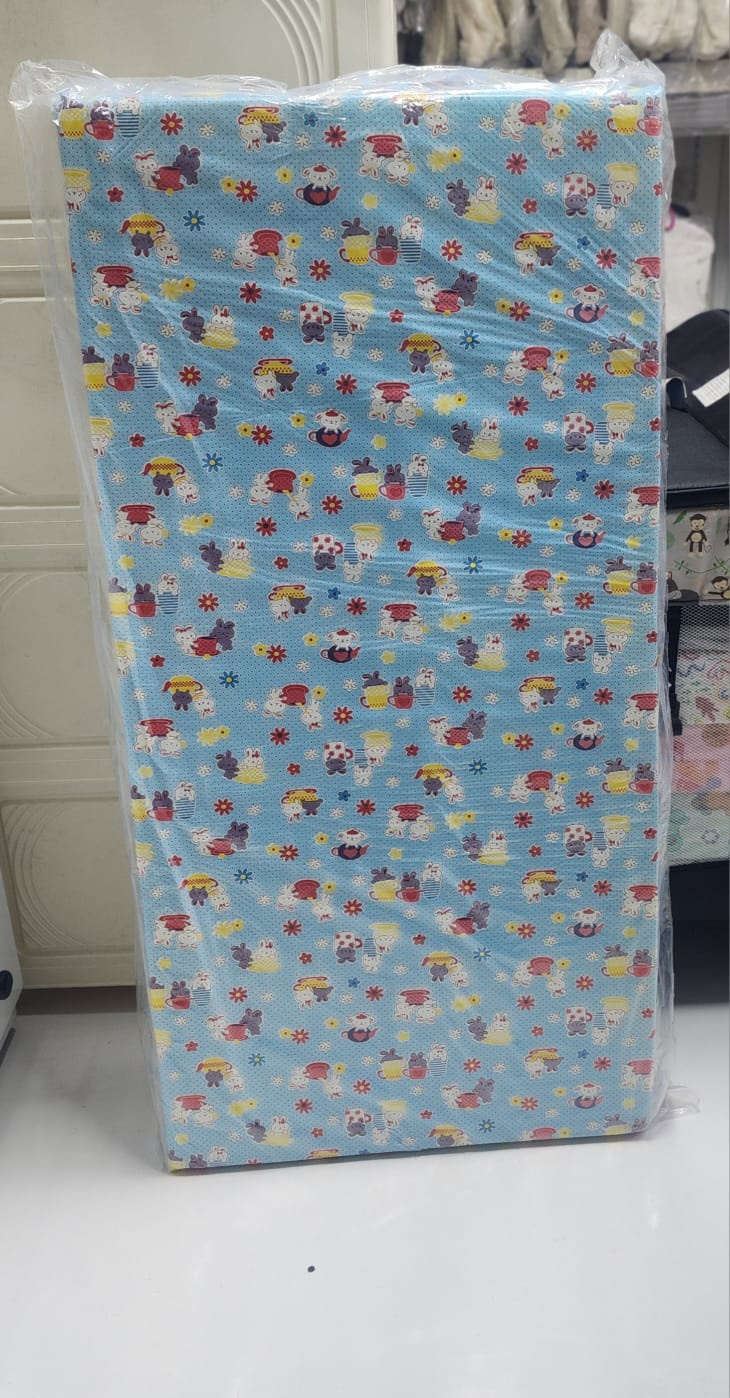 48x24 Inch Mattress | 2x4 ft Foam Mattress for Kids