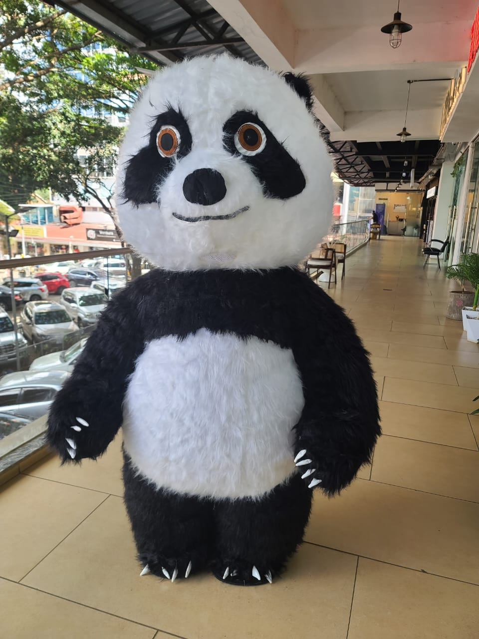 Inflatable Panda & Polar Bear Mascot Costumes in Kenya | AquaBaby Collection