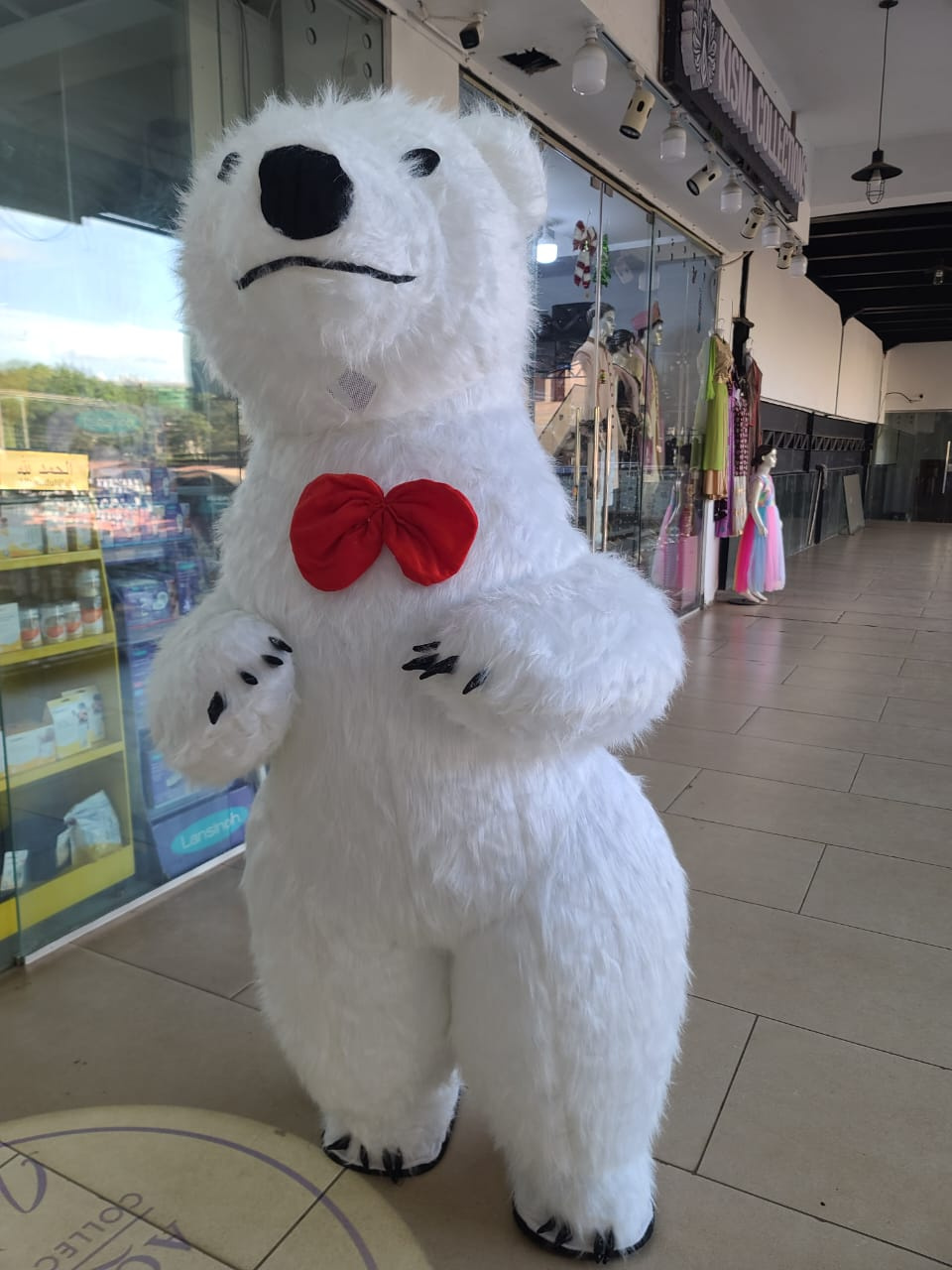 Inflatable Panda & Polar Bear Mascot Costumes in Kenya | AquaBaby Collection
