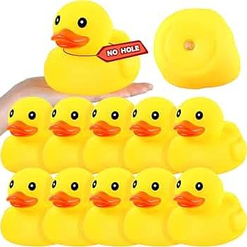 Duck bath toy set