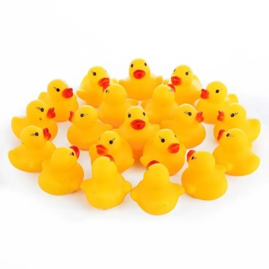 Duck bath toy set