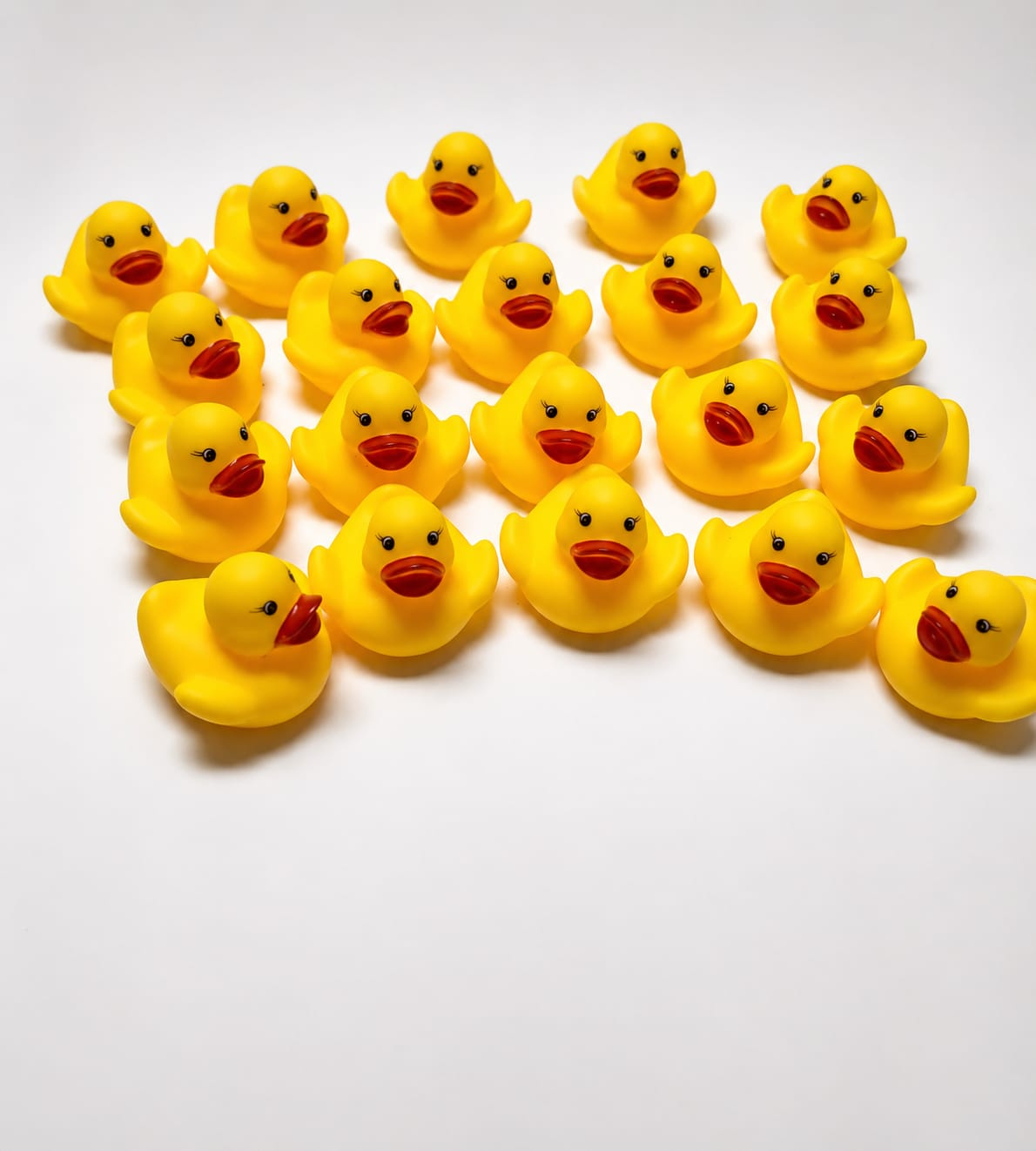 Duck bath toy set