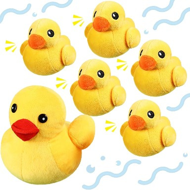 Duck Bath Toy 6 piece set