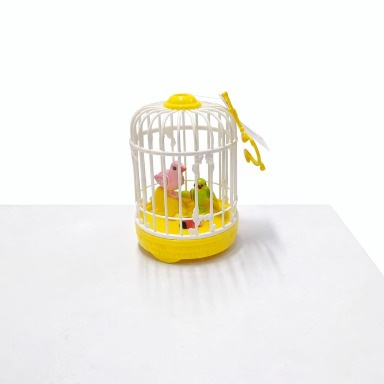 Sound Activated Singing Bird Cage Toy | Electronic Chirping Birds Toy | Aquababy Collection Kenya
