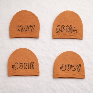 Baby Milestone Hats Set – Monthly Newborn