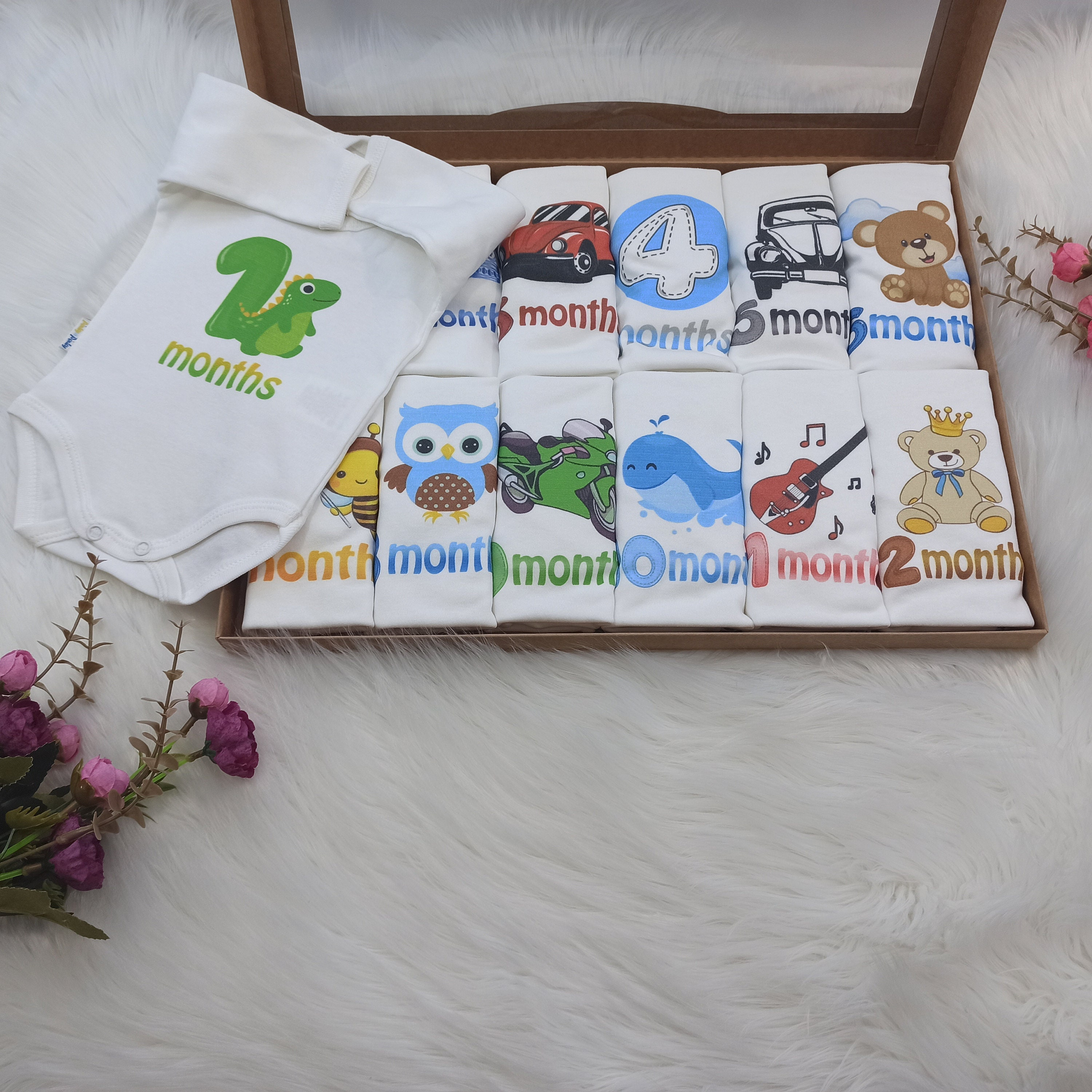 Monthly Milestone Baby Bodysuit Set – 1 to 12 Months (AquaBaby Collection LTD)