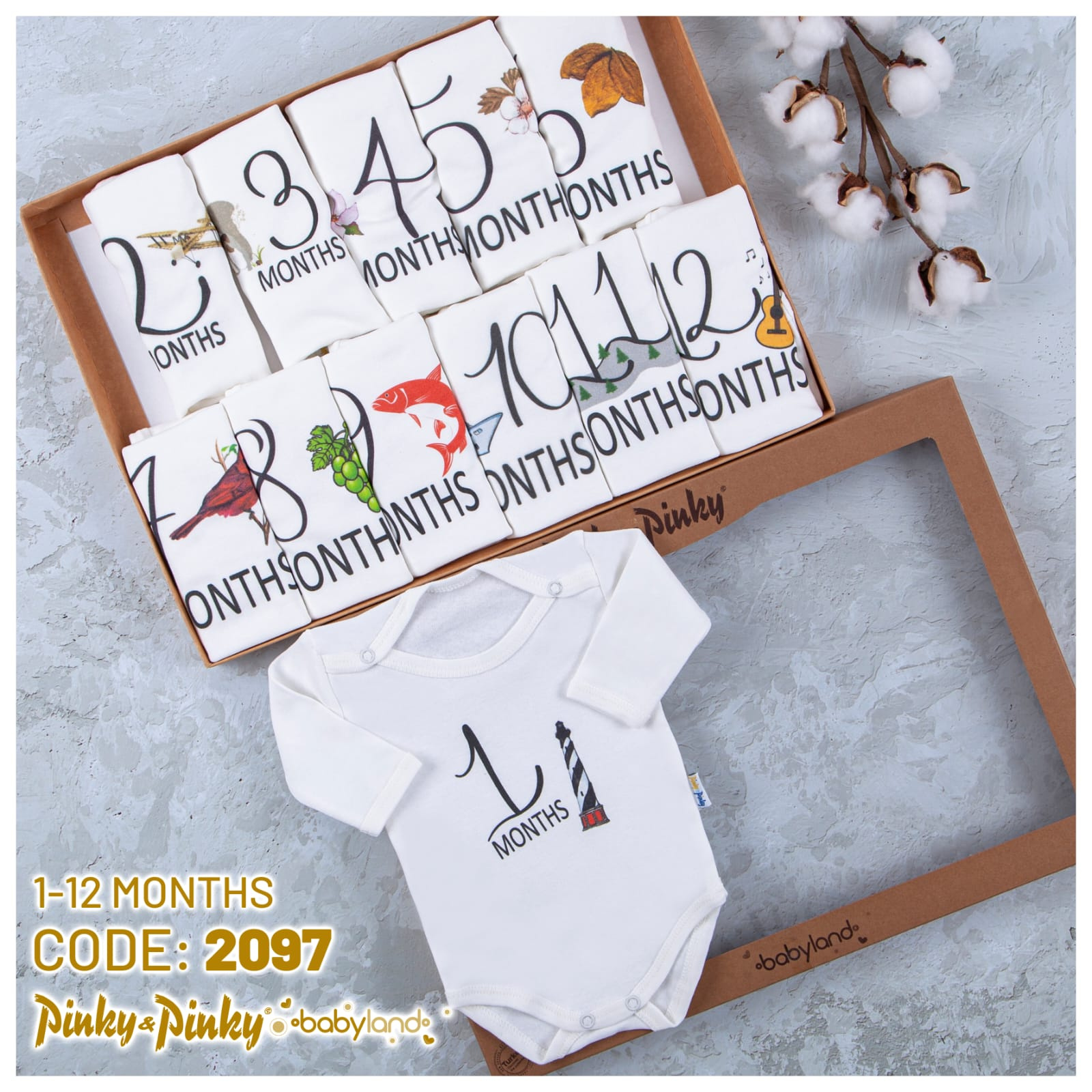 Monthly Milestone Baby Bodysuit Set – 1 to 12 Months (AquaBaby Collection LTD)
