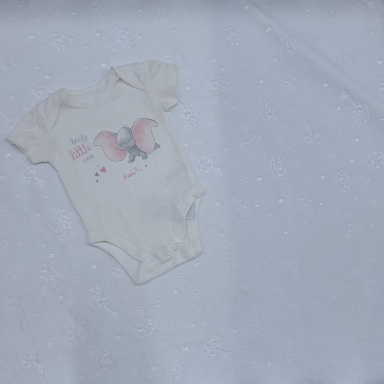 Disney Dumbo Baby Bodysuit Set Short Sleeve (3–6M)