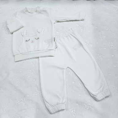 2-Piece Baby Bunny Embroidered Outfit Set (3–6 Months)