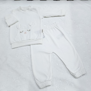 2-Piece Baby Bunny Embroidered Outfit Set (3–6 Months)